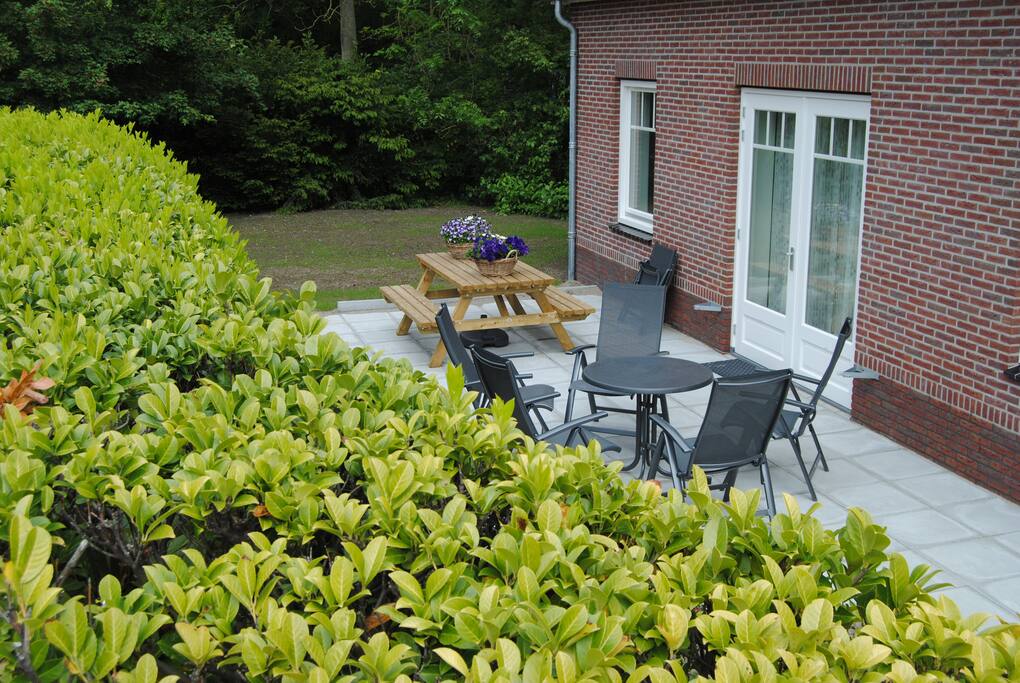 Terras