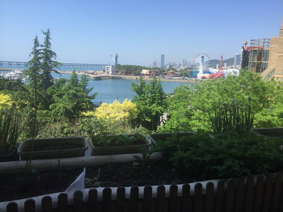 南向露天阳台观海景