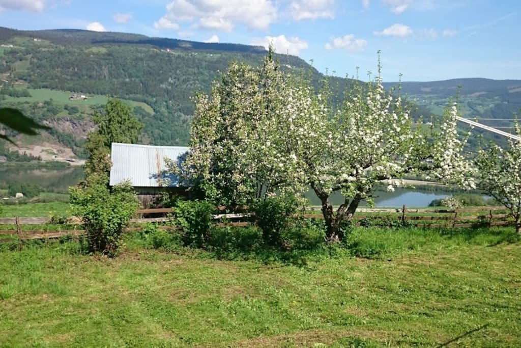 Utsikt