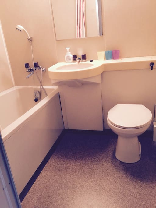 Toilet in the shower room
