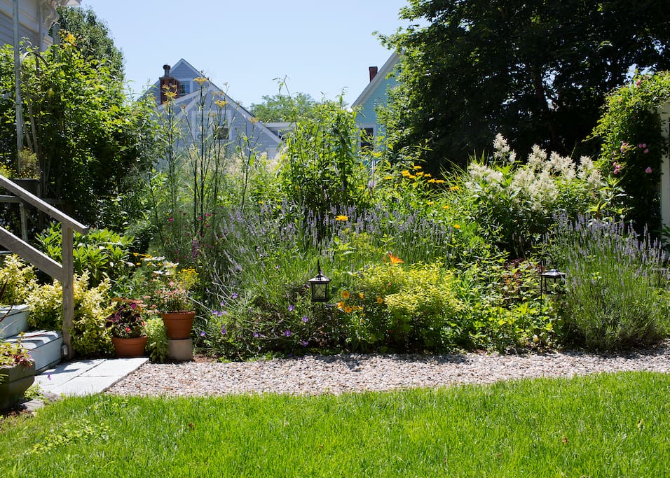 Garden in full summer bloom