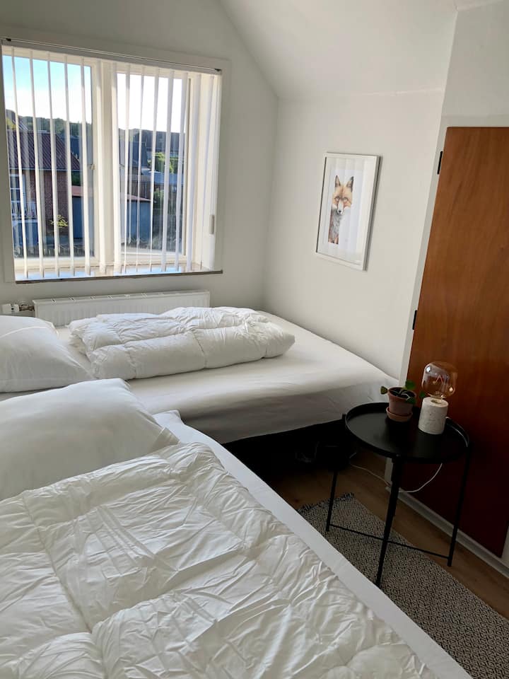 Помала спална соба со 2 единечни кревета.