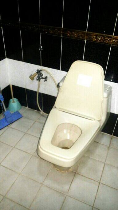Toilet