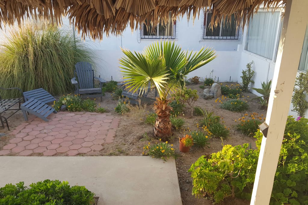 Garden View / Vista del Jardín