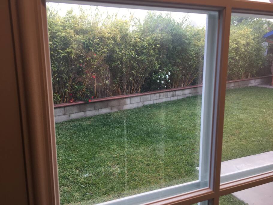 looking out to the garden from the entryway