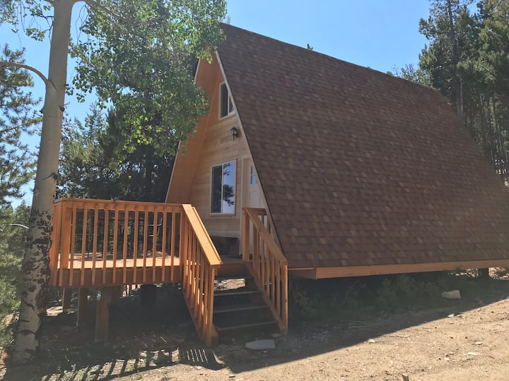 Sasquatch Cabin Cabins for Rent in Bailey, Colorado, United States