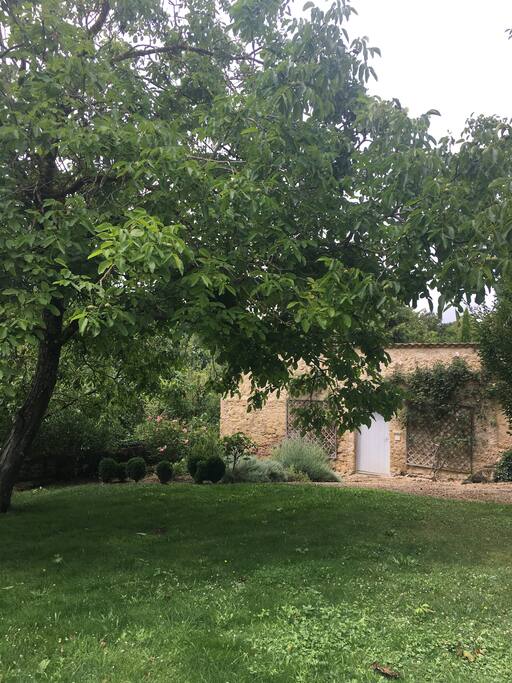 Jardin
