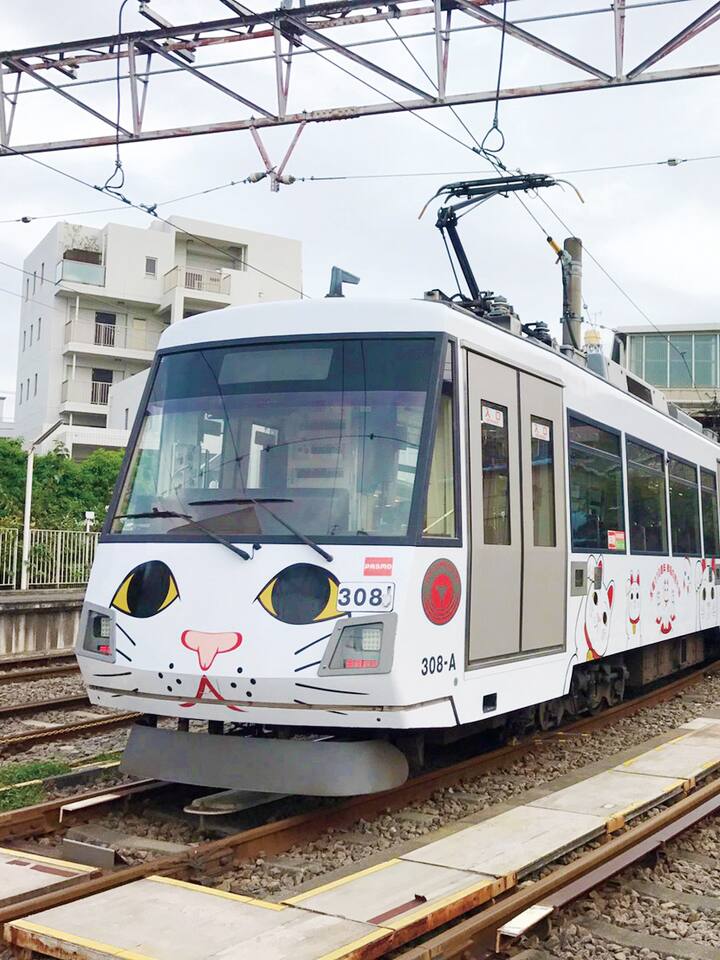 Foto da experiência 1