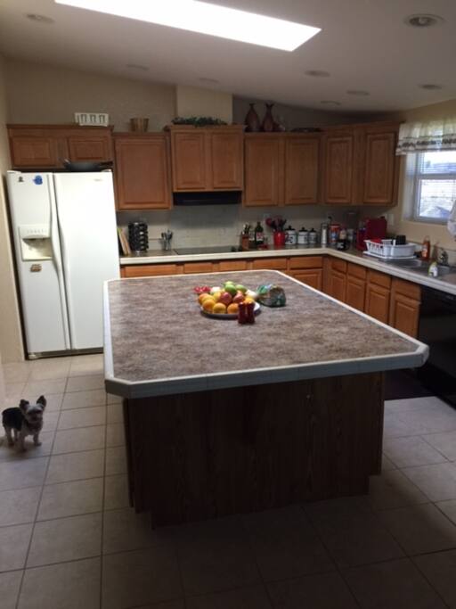Kitchen: shared space