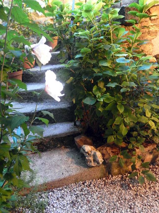 Détail du patio