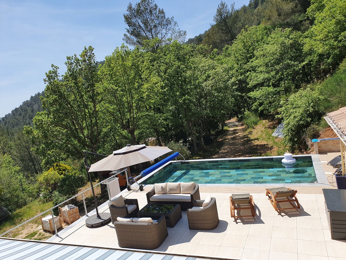 An outdoor area is surrounded by trees with a serene pool and sun loungers. A shaded seating space with sofas and chairs is positioned beside the pool, creating a calm, inviting environment. The landscape features a pathway leading into the woods.