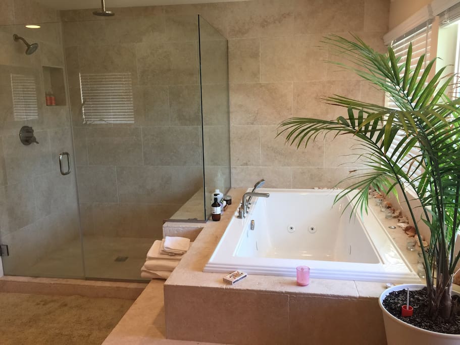Master bedroom suite bathroom