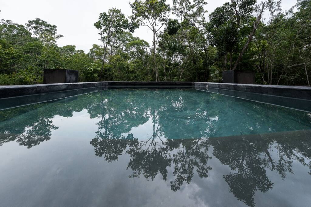 Piscina privada con vista a la selva tropical de Tulum - Terraza de 60 metros cuadrados.