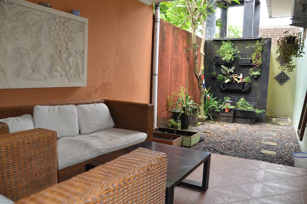 Our backyard