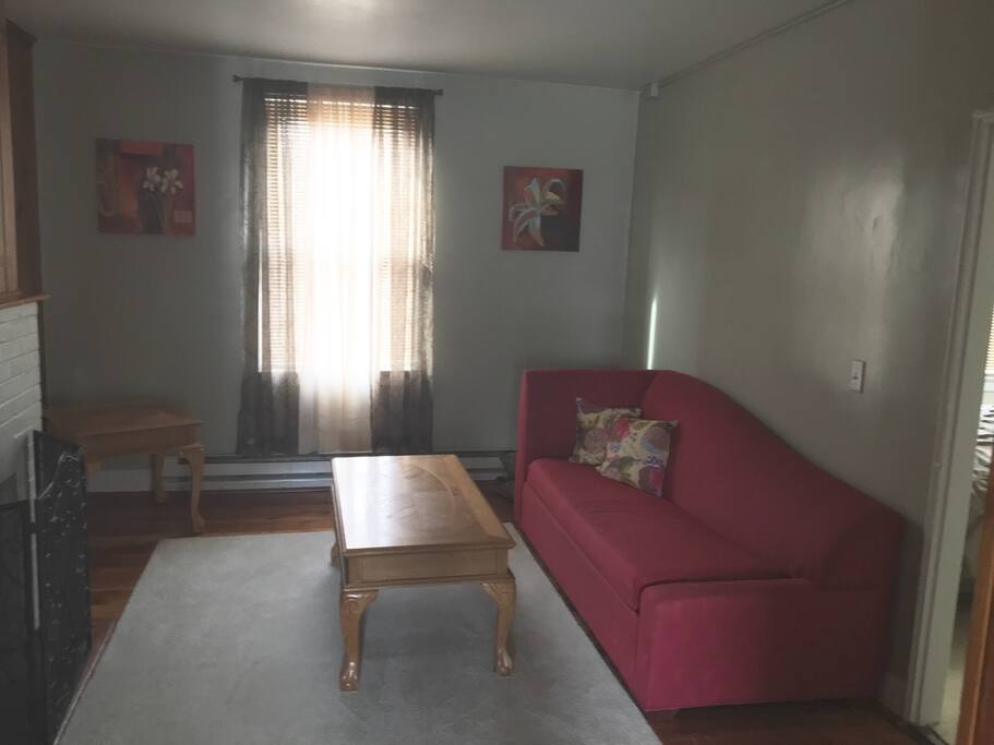Living room with sofa bed and TV
