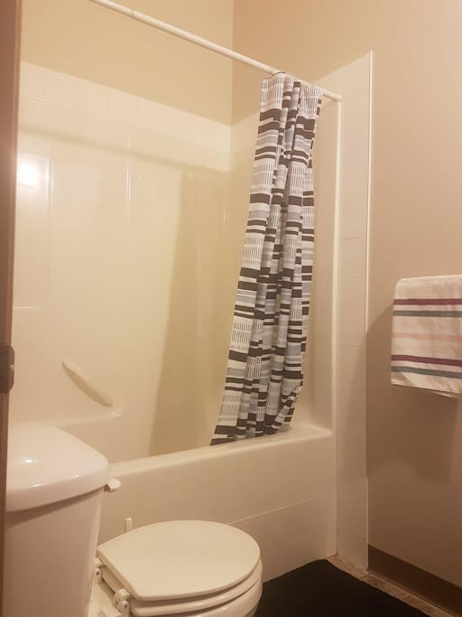 Another shot of the main bathroom. You can't quite see the vaulted ceiling.