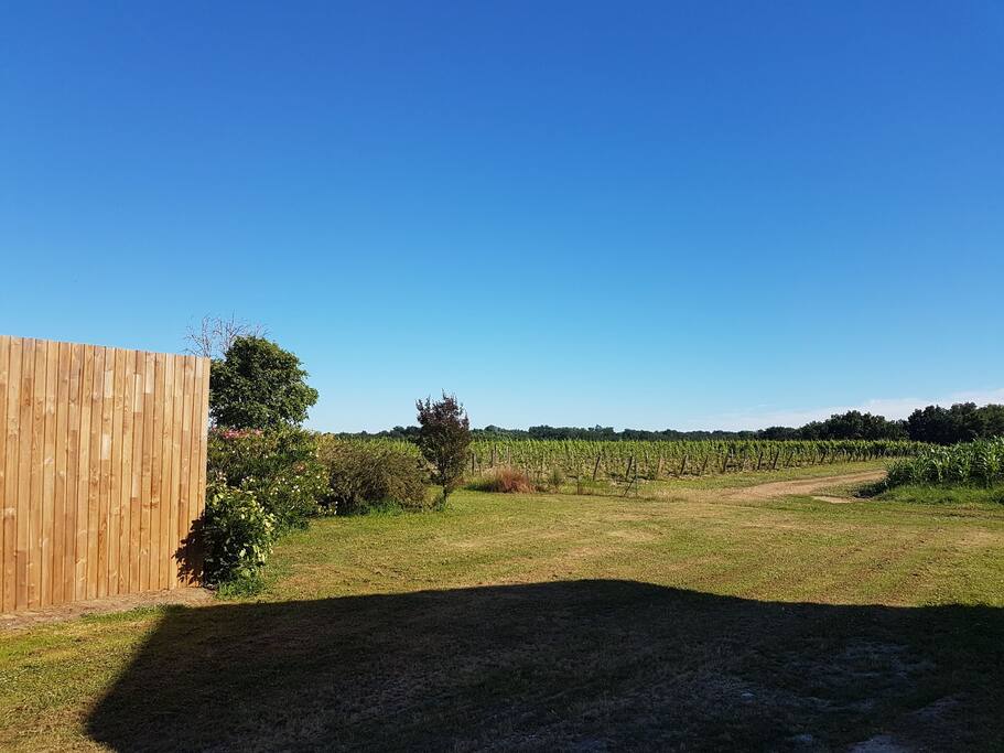 Vue depuis le studio