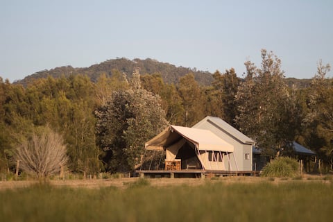 Top performing Airbnb: Bawley beachfront glamping retreat safari tents 1 in Bawley Point