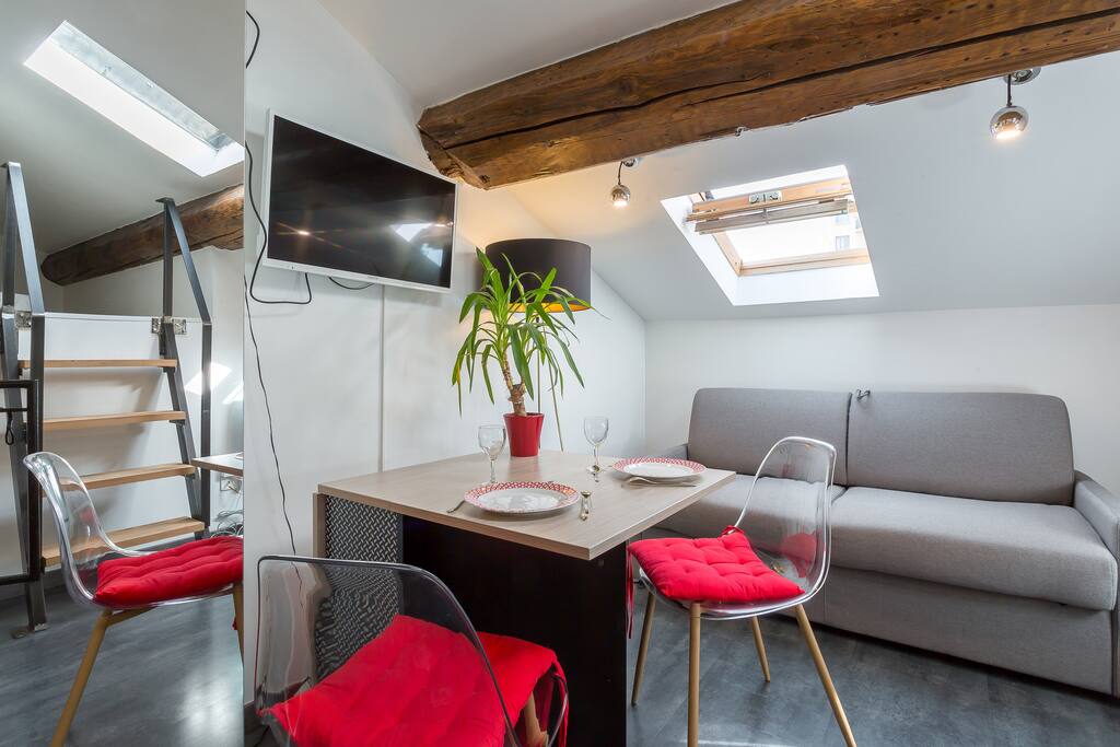 romantic and cozy apartment Vieux Lyon Fourvière Lofts for Rent in
