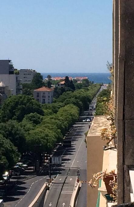 VUE DU BALCON