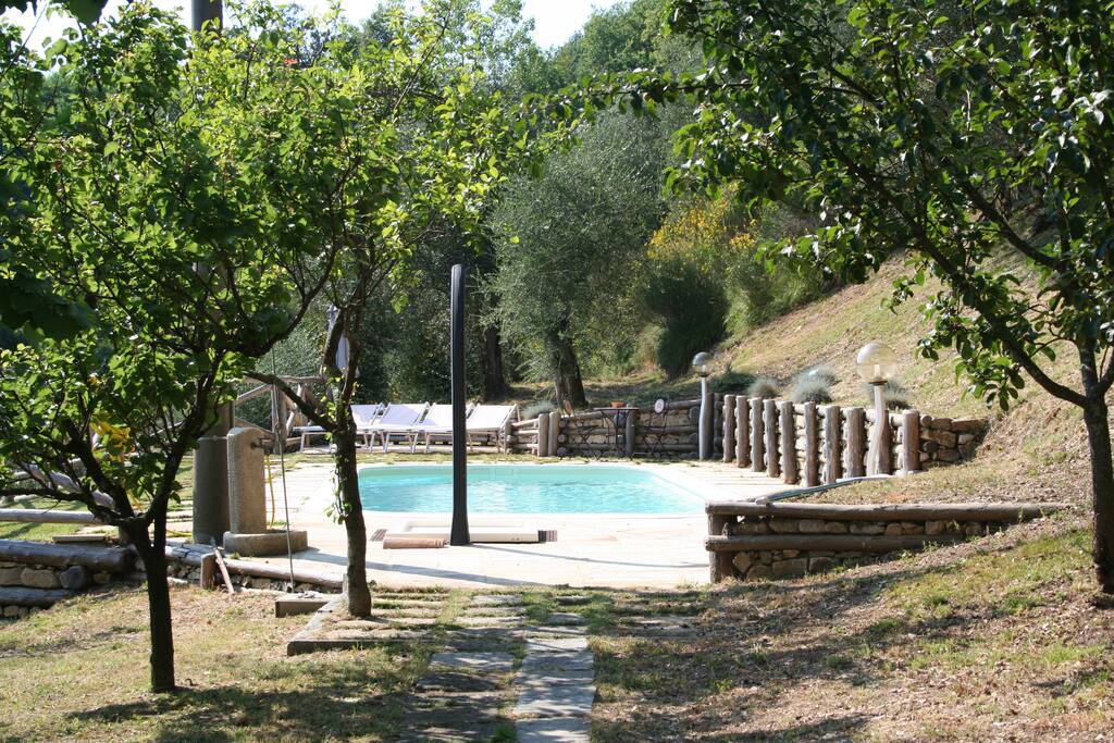 The garden and the saline pool
