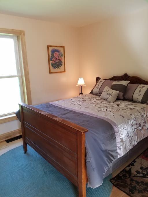 Downstairs bedroom