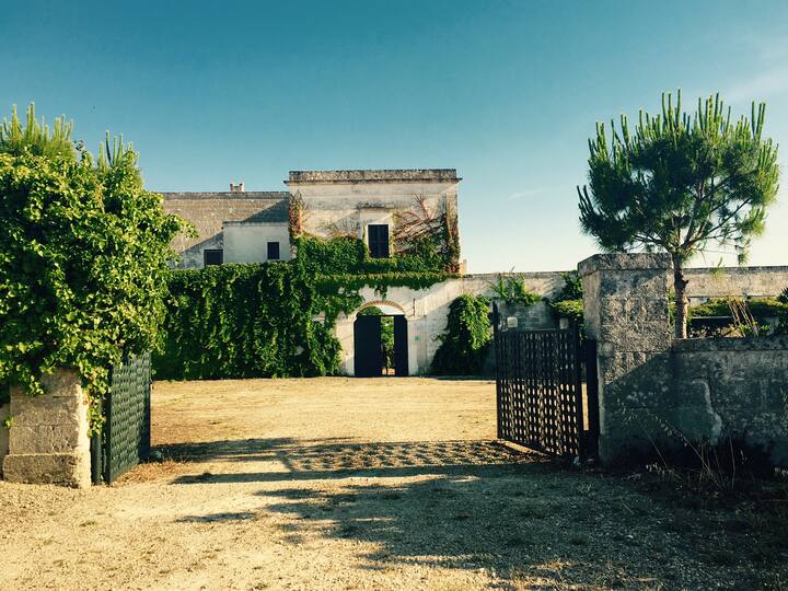 Charming Apt.(N1) in trendy Salento