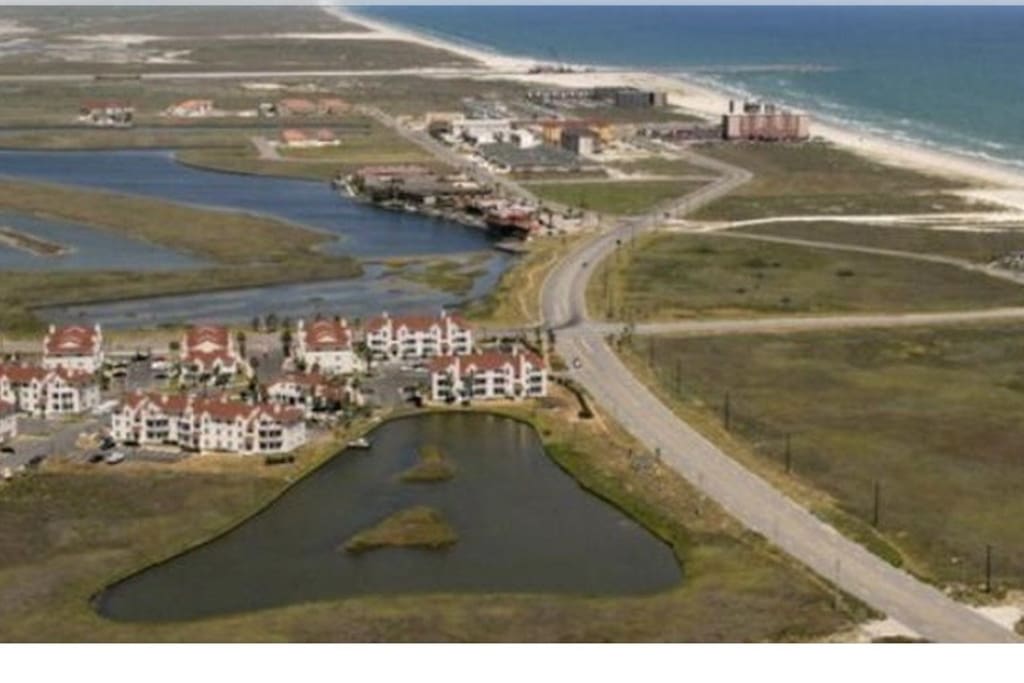 Corpus Christi
whitecap beach
78418