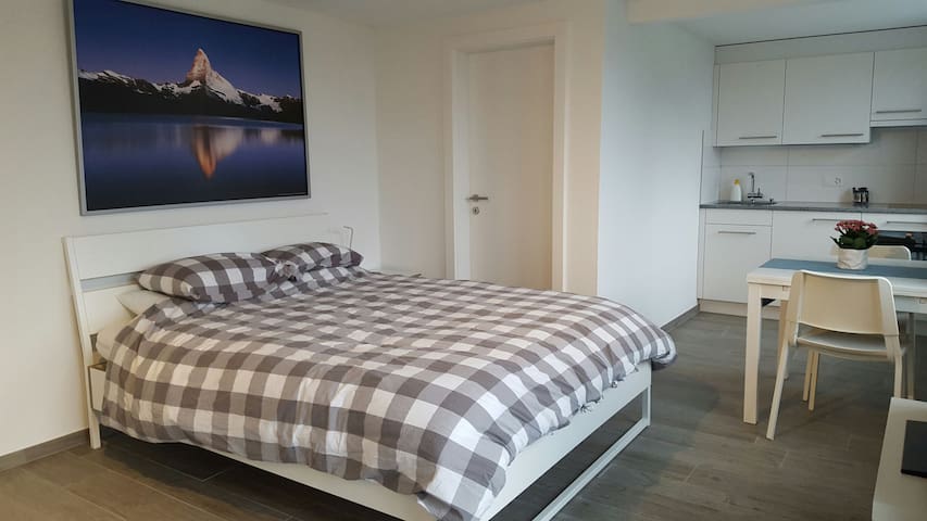 Lake view private studio 10 mins walk to train