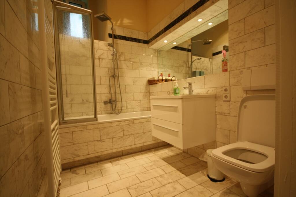our bathroom tab and shower