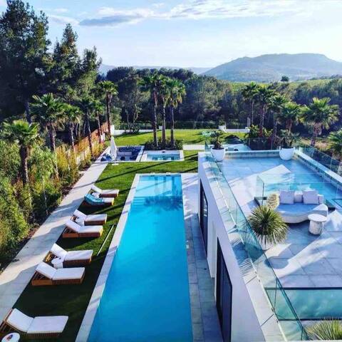 Contemporary luxury design villa in vineyards