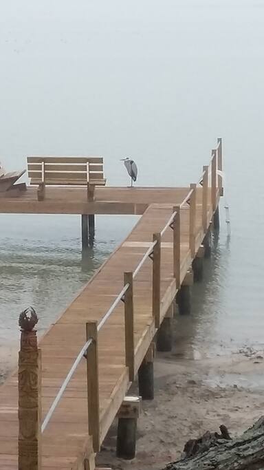 You can enjoy the sunset, fish or kayak off the pier.