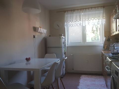 Fully furnished nice flat in the city center