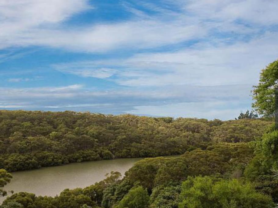 View from balcony overlooking Australian bush and river.