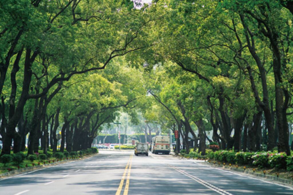 鄰近敦化南路林蔭大道,讓你出門就呼吸著芬多精Adjacent to South Dunhua Boulevard, let you go out and breathe phytoncid