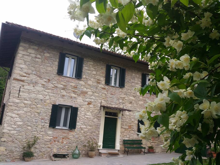 la casa venne edificata intorno al 1860 seguendo il disegno a L tipico delle case-cascine di campagna piemontesi....in primo piano potete notare il "Fior d'angelo"