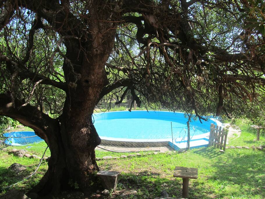 Piscina con agua de nuestras vertientes.