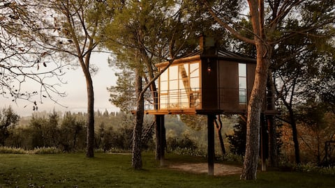 Treehouse Rentals