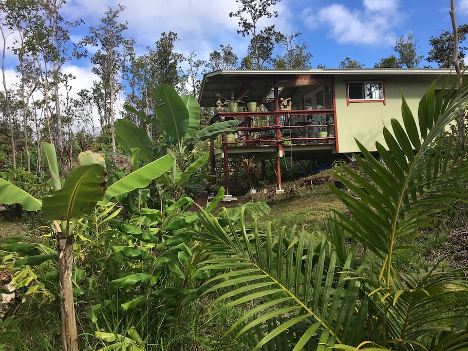 A home away from home. Enjoy your morning coffee or tea and your breakfast in nature on this cozy lanai (porch) surrounded with tropical garden.