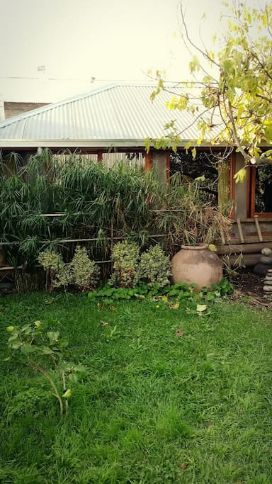 Garden of our home. Jardín de la casa.