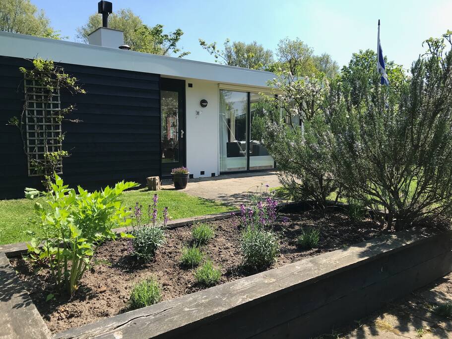 Grote omheinde tuin van 600m2.