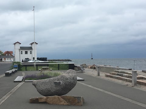 Holiday apartment near Limfjorden