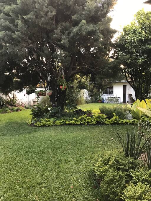 La casa cuenta con un hermoso jardín ideal para descansar después de un viaje largo .
