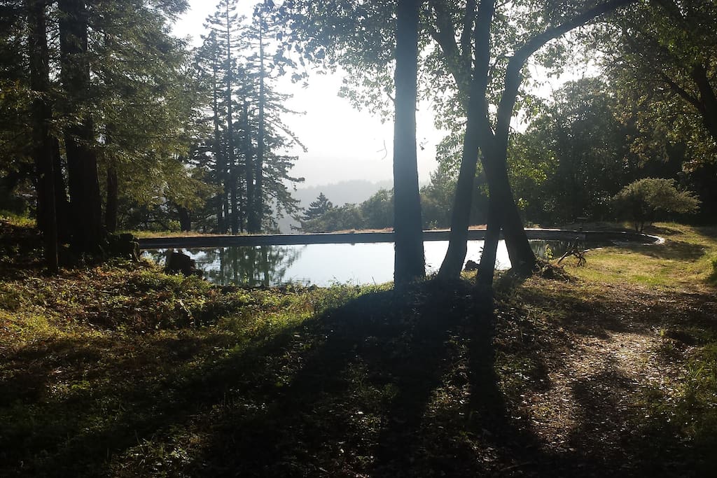 Our private pond <3