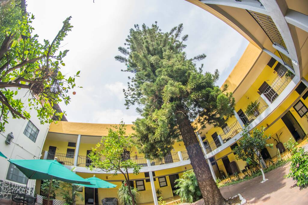 Vista desde el patio
