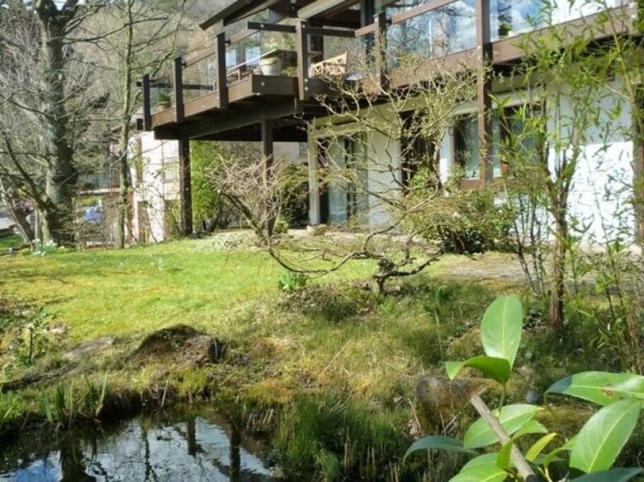 Blick von Teich