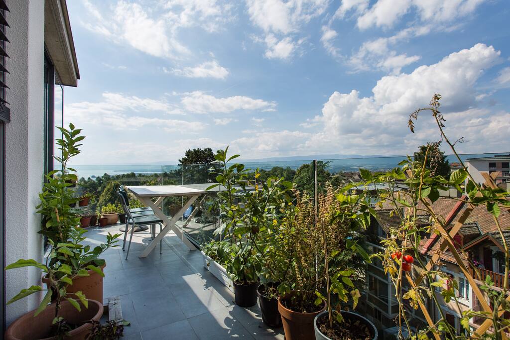 View from the living room and balcony