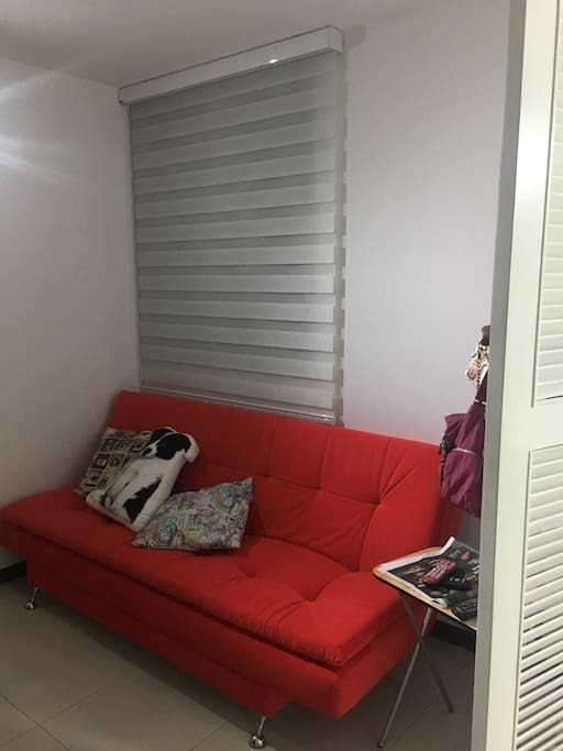 1 sofa cama disponible en el cuarto de tv.