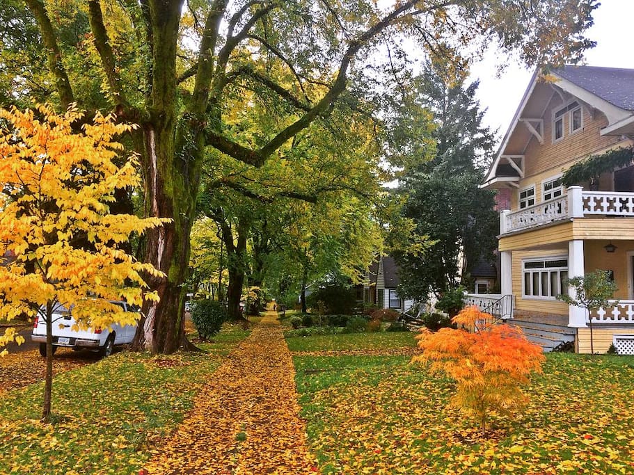 Neighborhood