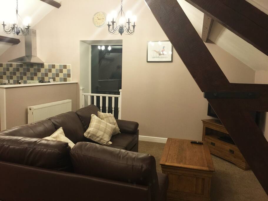 Living area with sofa bed